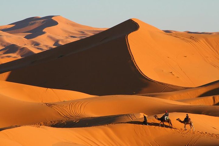 ✅ Camel Ride and Overnight in Sahara Desert Camp