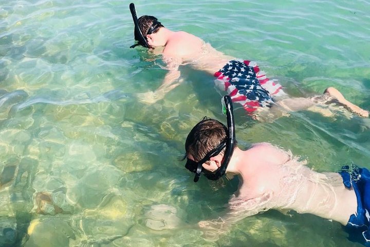 Shell Key & Dolphins - Semi-Private Tours