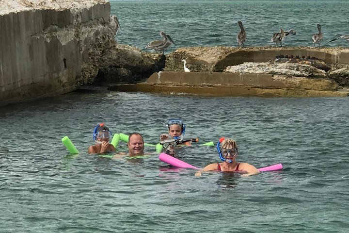 Shell Key & Dolphins - Semi-Private Tours