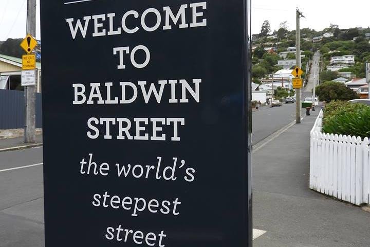 Dunedin City Highlights, Otago Peninsula Scenery & a Guided Penguin Reserve Tour