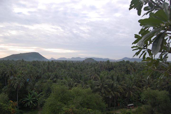 Private One Day Tour to Battambang plus lunch from Siem Reap
