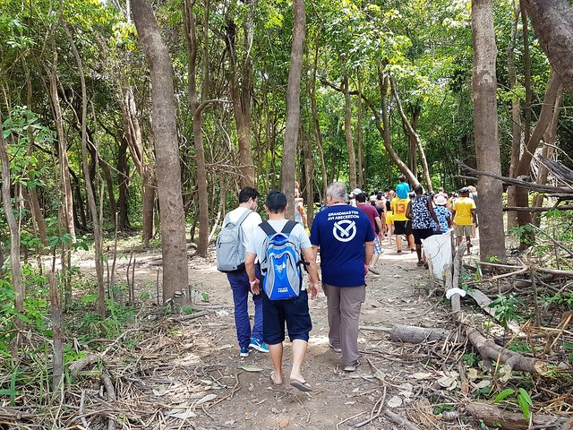 Amazon Negro River Half-Day Expedition Tour