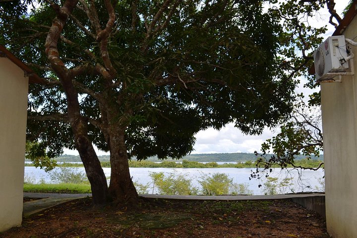 4 Days Amazon Jungle Adventure Tour