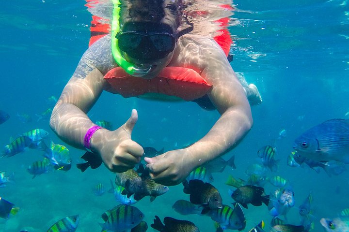 Puerto Vallarta Las Caletas, Adventure Park & Lunch with Open Bar