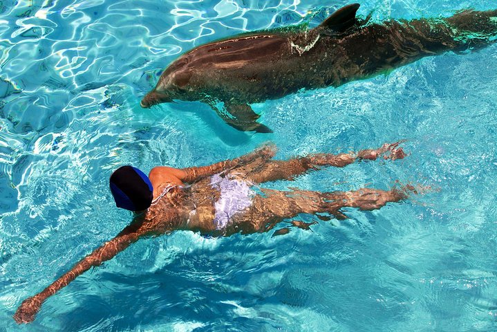 St Thomas~St John Snorkel, Swim & Beach Trip on MV Island Flyer
