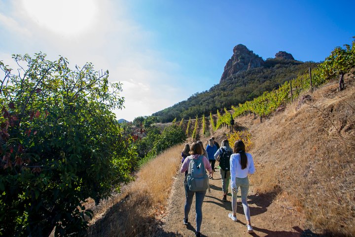 Malibu: Guided Vineyard Hike with Photo Stops and Wine