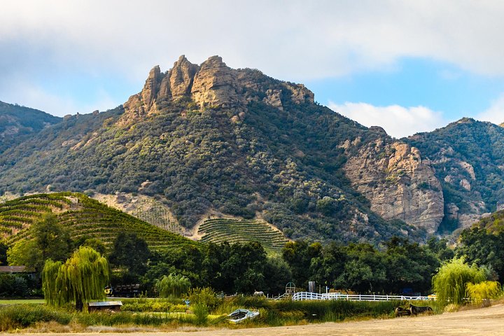 Malibu: Guided Vineyard Hike with Photo Stops and Wine