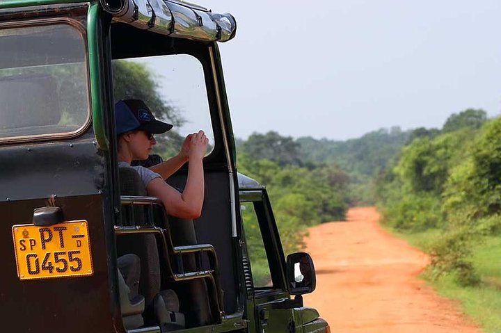 Ella: Transfer to Tangalle/Mirissa/Galle & Yala/Udawalawe Safari