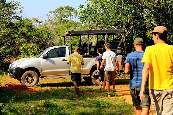 Ella: Transfer to Tangalle/Mirissa/Galle & Yala/Udawalawe Safari