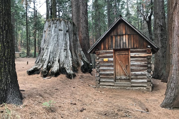 Off Road Giant Sequoia 4x4 Tour Yosemite National Park
