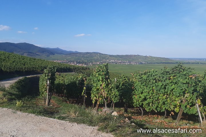 ICONICS Tour: 1/2 day on the Wine Route, visit of 2 Villages + Tasting.
