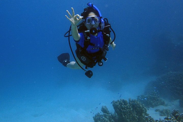 Guam's Best Shore Diving! Beginner and Advanced Dives
