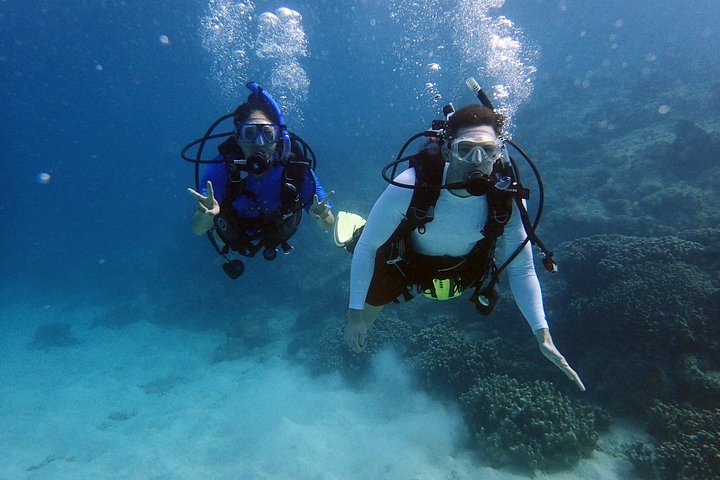 Guam's Best Shore Diving! Beginner and Advanced Dives