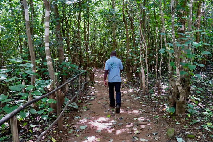 Discover Malawi in 7 days. Private tour with accommodation