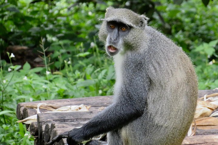 Discover Malawi in 7 days. Private tour with accommodation