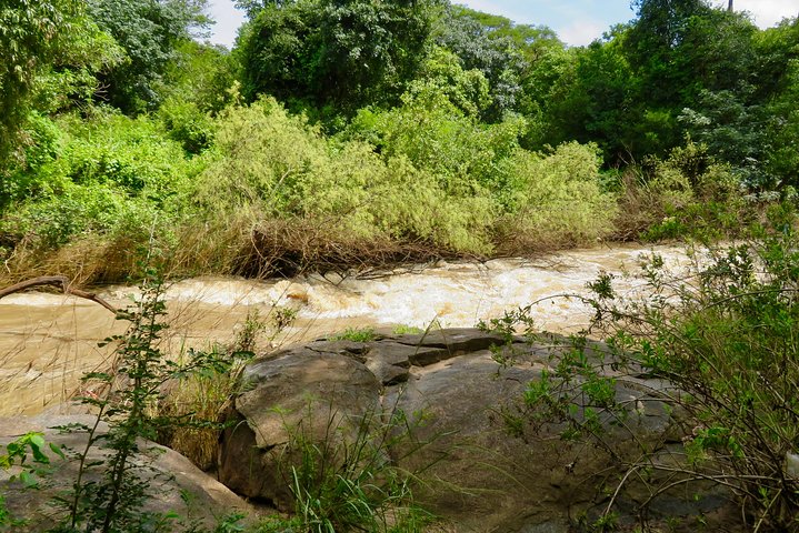 Discover Malawi in 7 days. Private tour with accommodation