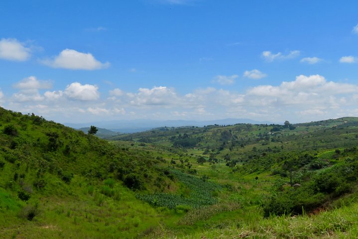Discover Malawi in 7 days. Private tour with accommodation