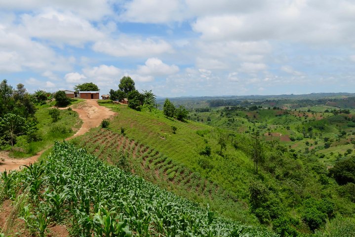 Malawi in 6 days without accommodation