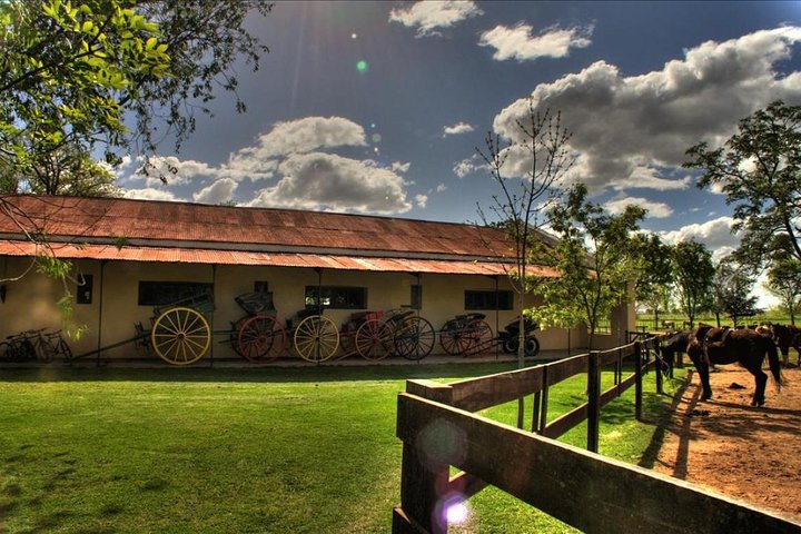 Gaucho Day Tour Ranch at an Estancia from Buenos Aires