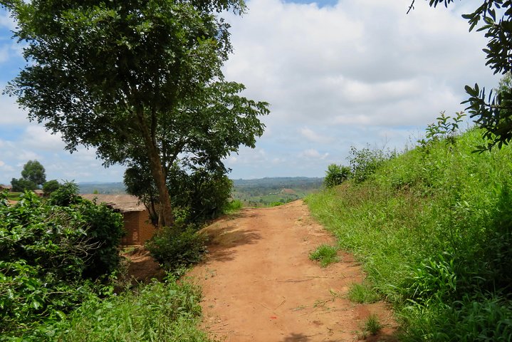 Coffee tour farm visit in Mzuzu, Malawi
