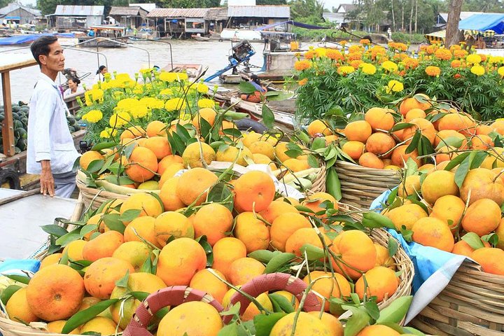 Cai Rang Floating Market & Mekong Delta 2-Day Tour from HCM City