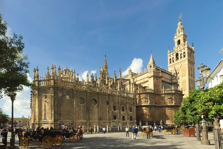Private 8-hour tour to Seville from Cadiz with port pick up