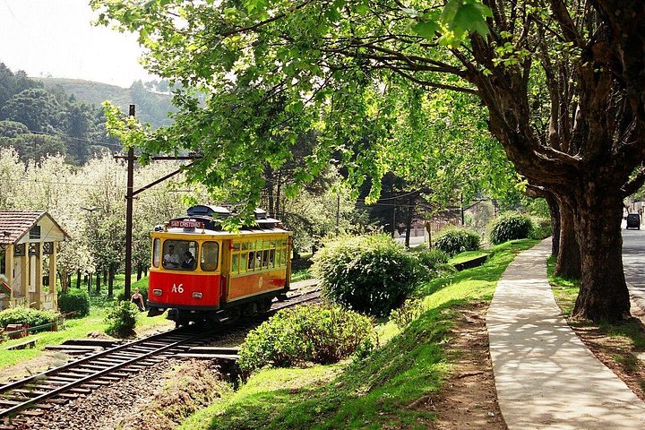 The Brazilian Switzerland - Day Trip on Campos do Jordão from São Paulo