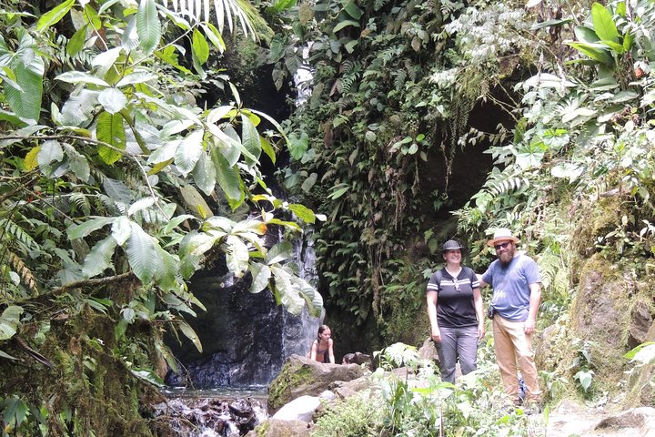 Mindo Cloud Forest Private Day Tour
