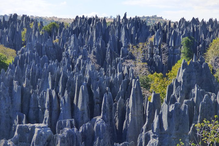 Tsingy / Kirindy Forest