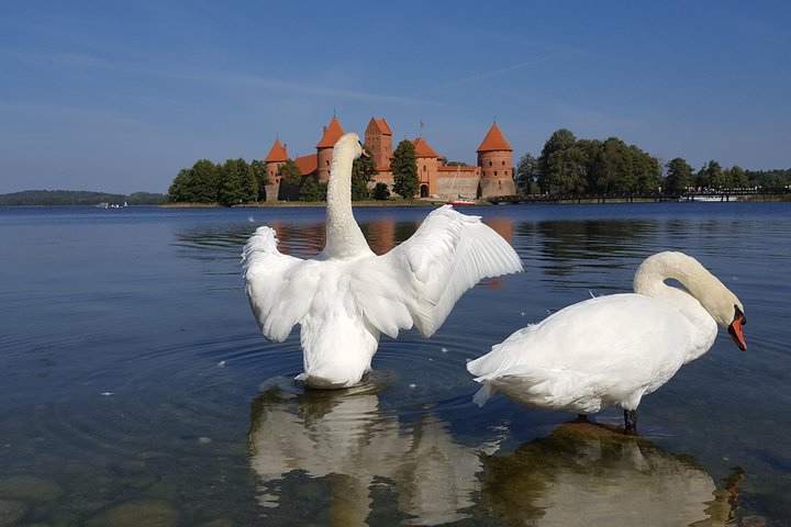 Tour to Ponary Memorial Park, The Hill of Angels & Trakai Castle