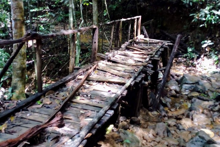 Kanneliya Rain Forest Tour