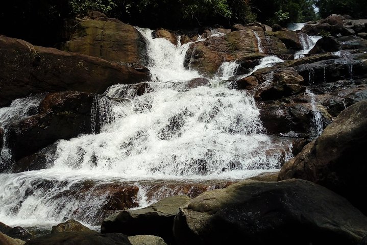 Kanneliya Rain Forest Tour