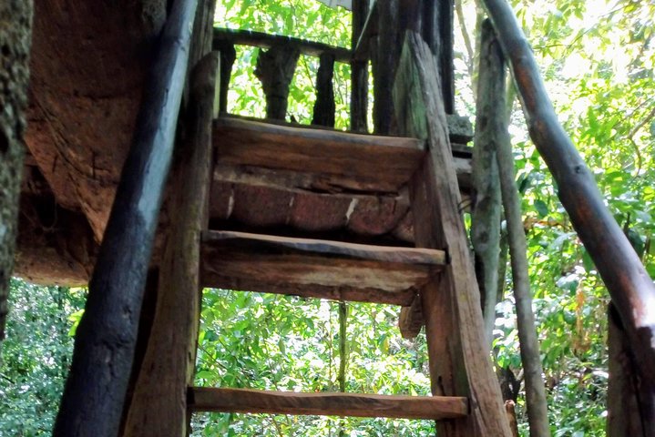 Kanneliya Rain Forest Tour