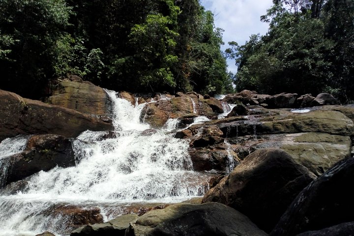 Kanneliya Rain Forest Tour