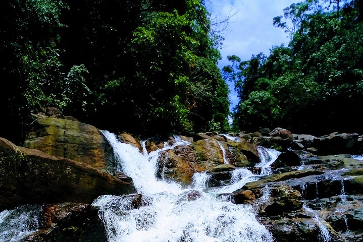 Kanneliya Rain Forest Tour