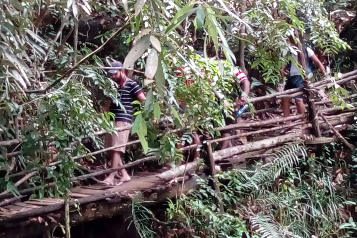 Kanneliya Rain Forest Tour