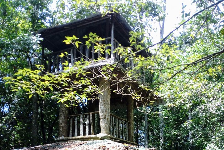 Kanneliya Rain Forest Tour