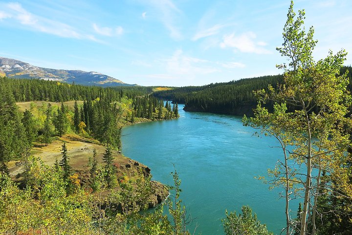 Arctic Day: Hiking Tour | half day