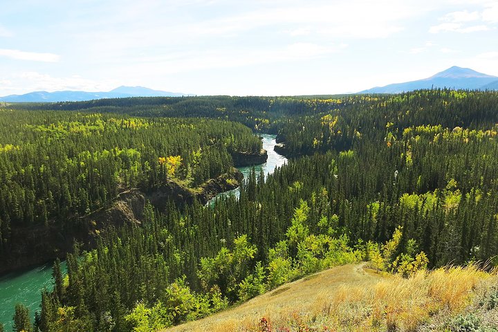 Arctic Day: Hiking Tour | half day