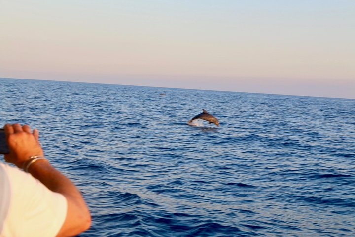 Boat Tours 5 Terre