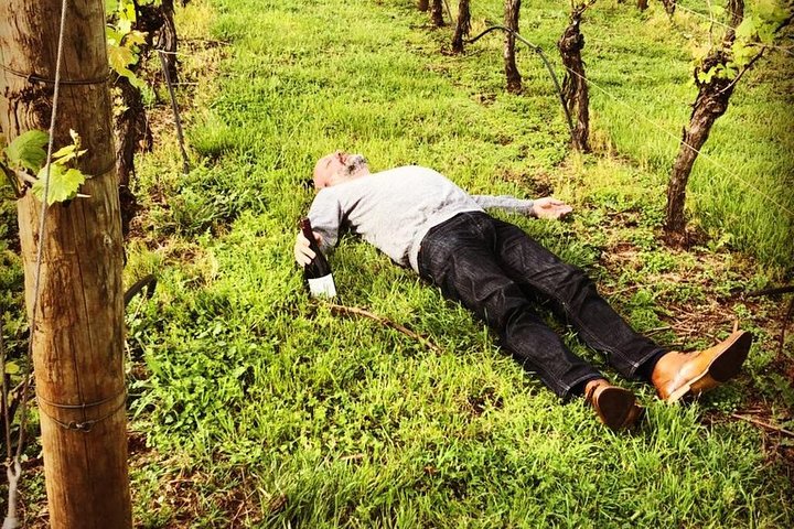Tamar Valley Wine Tour with Lunch