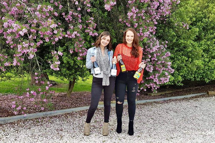 Tamar Valley Wine Tour with Lunch