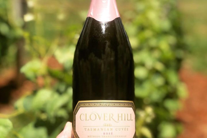 Tamar Valley Wine Tour with Lunch