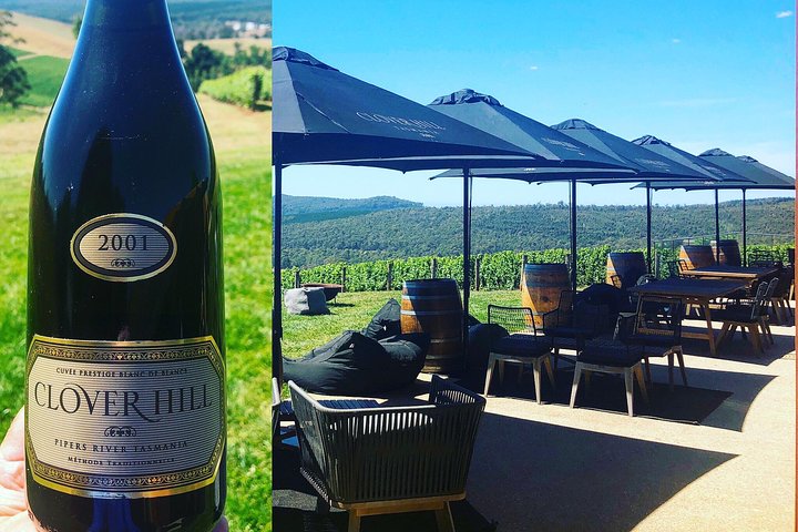 Tamar Valley Wine Tour with Lunch