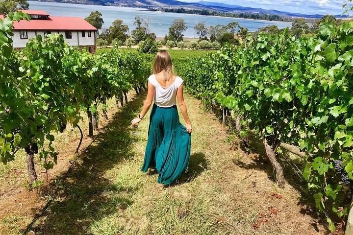 Tamar Valley Wine Tour with Lunch