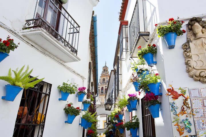 Cordoba Mosque & Jewish Quarter Guided Tour with tickets