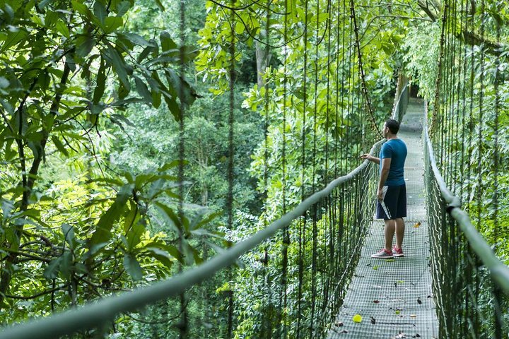Puntarenas Shore Excursion: Rainforest Skywalk & Tarcoles River