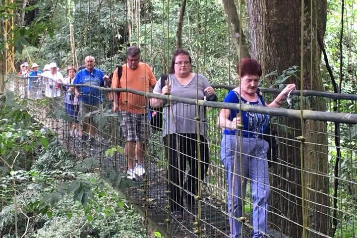 Puntarenas Shore Excursion: Rainforest Skywalk & Tarcoles River