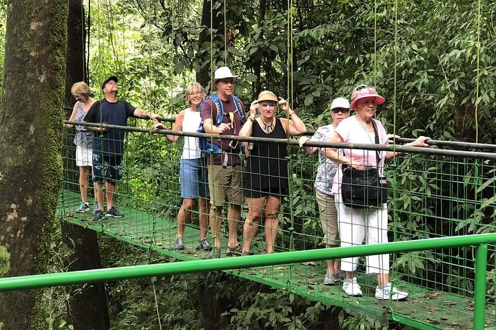 Puntarenas Shore Excursion: Rainforest Skywalk & Tarcoles River