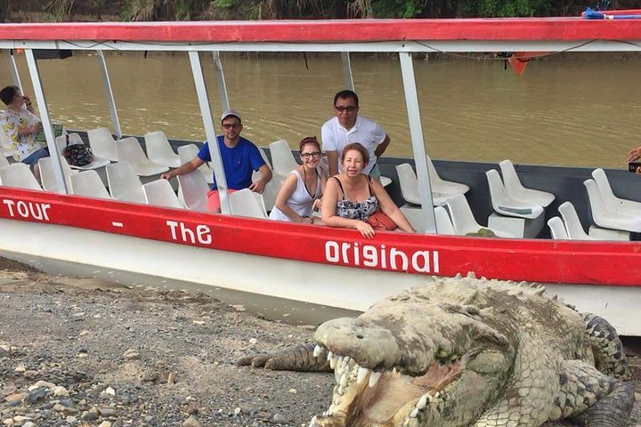 Puntarenas Shore Excursion: Rainforest Skywalk & Tarcoles River